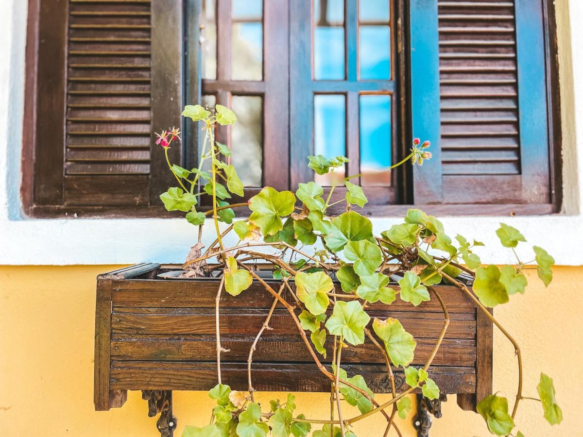 Pousada Flor De Ipe São Bento do Sapucaí Esterno foto